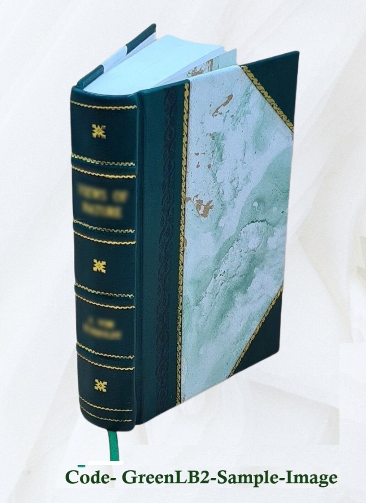 Historical Essay Endeavoring A Probability That The Language Of [Leather Bound]