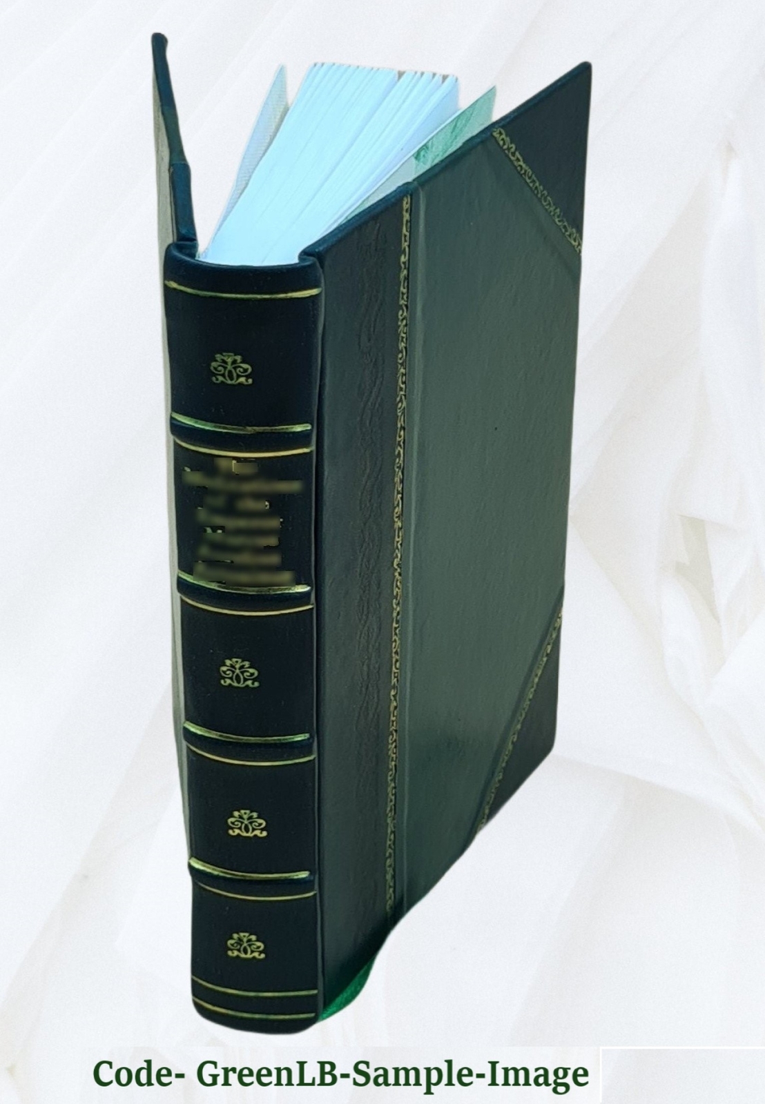 Historical Essay Endeavoring A Probability That The Language Of [Leather Bound]