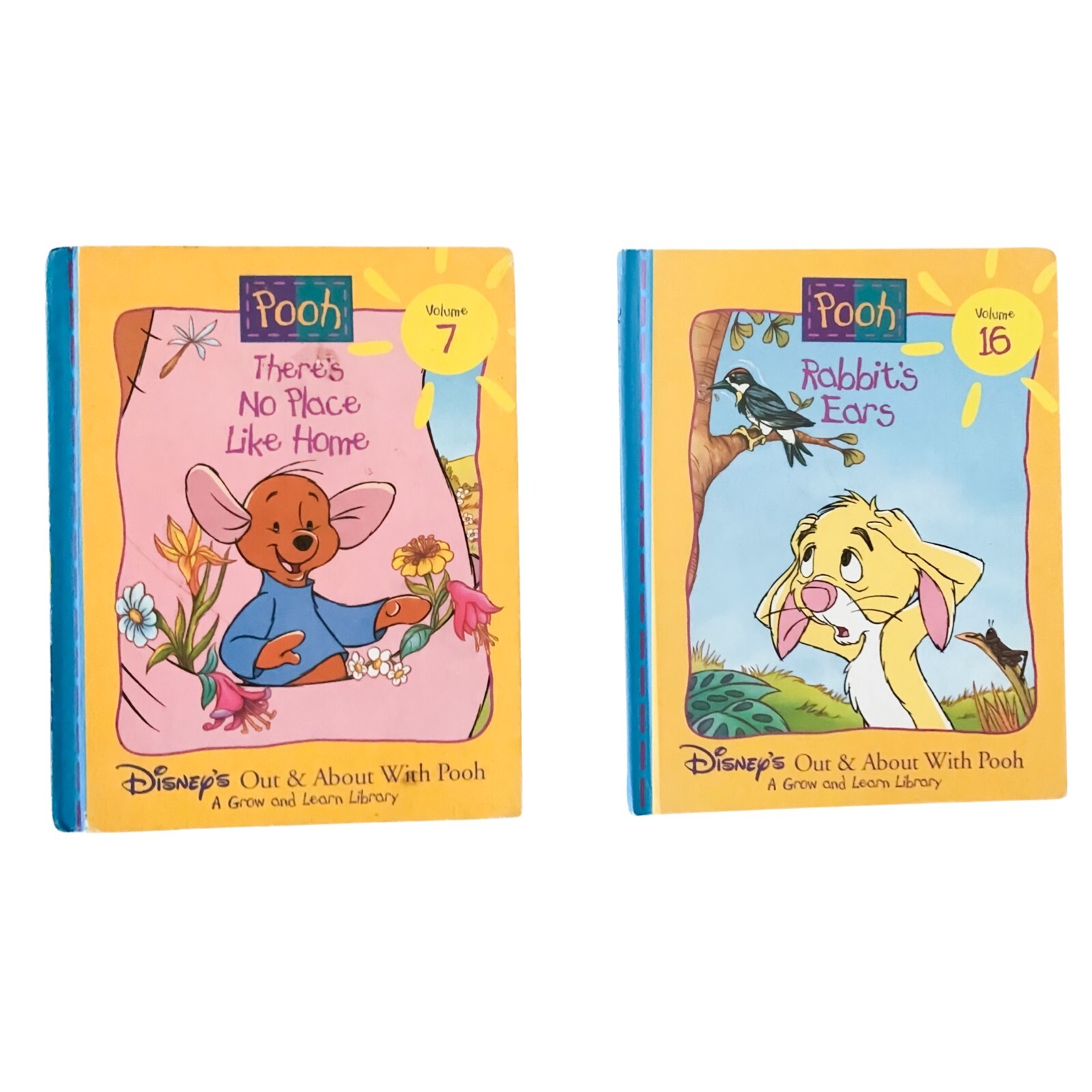 Disney’s” Out & About With Pooh” There’s No Place Like Home, Rabbit’s Ears x 2