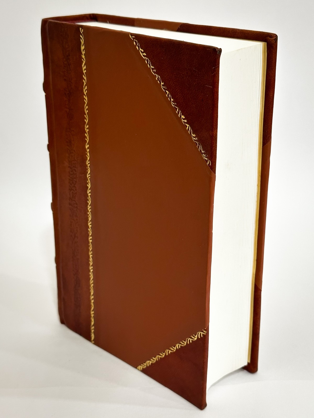 Genealogy of the Bergey Family; a Record of the Descendants of [Leather Bound]