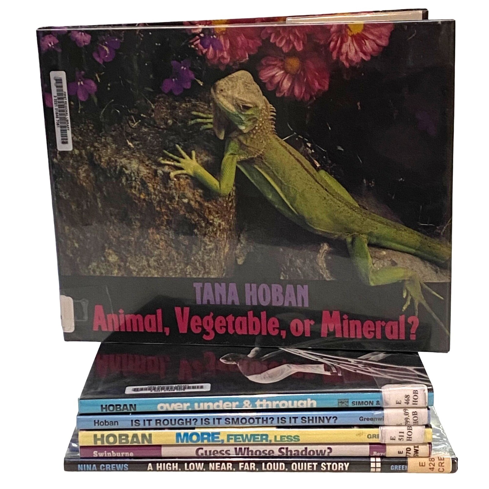 Preschool Hardcover Picture Book Lot of 6 Hoban and Others
