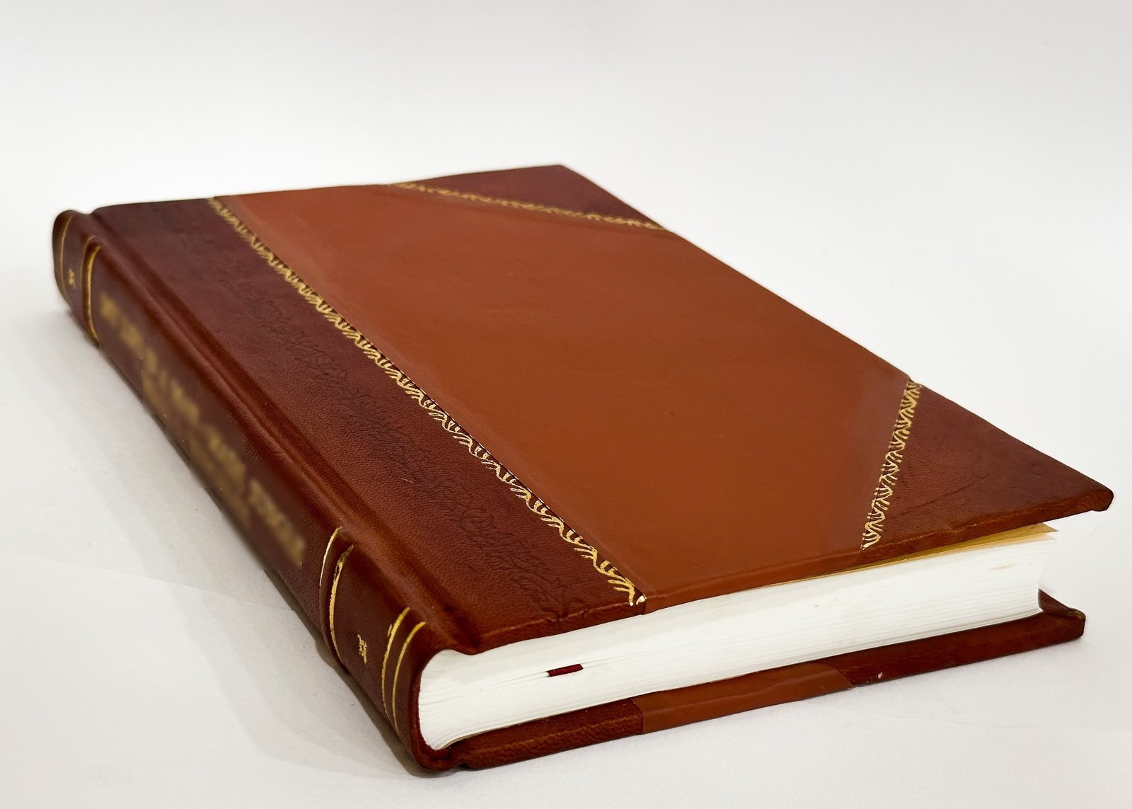 The Practice of the Common Law Courts, and Practical Lawyer’S P [Leather Bound]