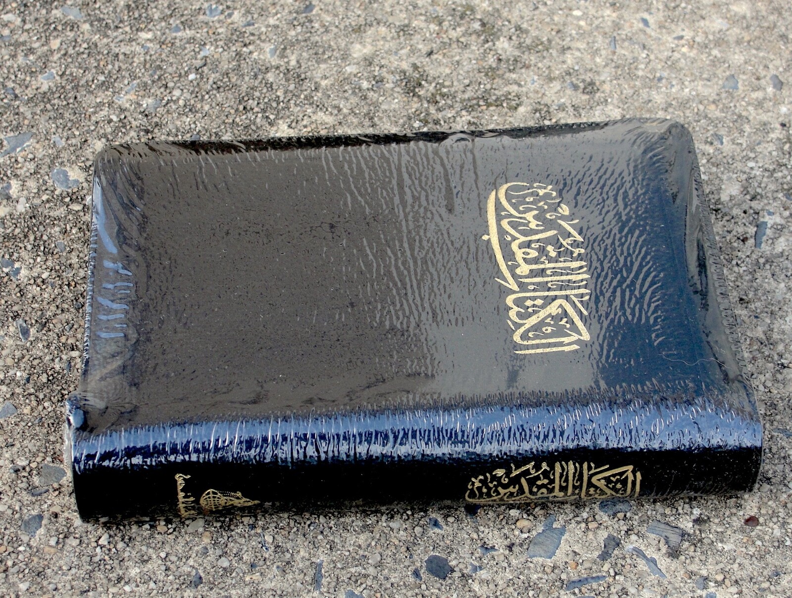 Arabic Bible, New Van Dyck Version, Black Leather Zipper, Classical, Medium