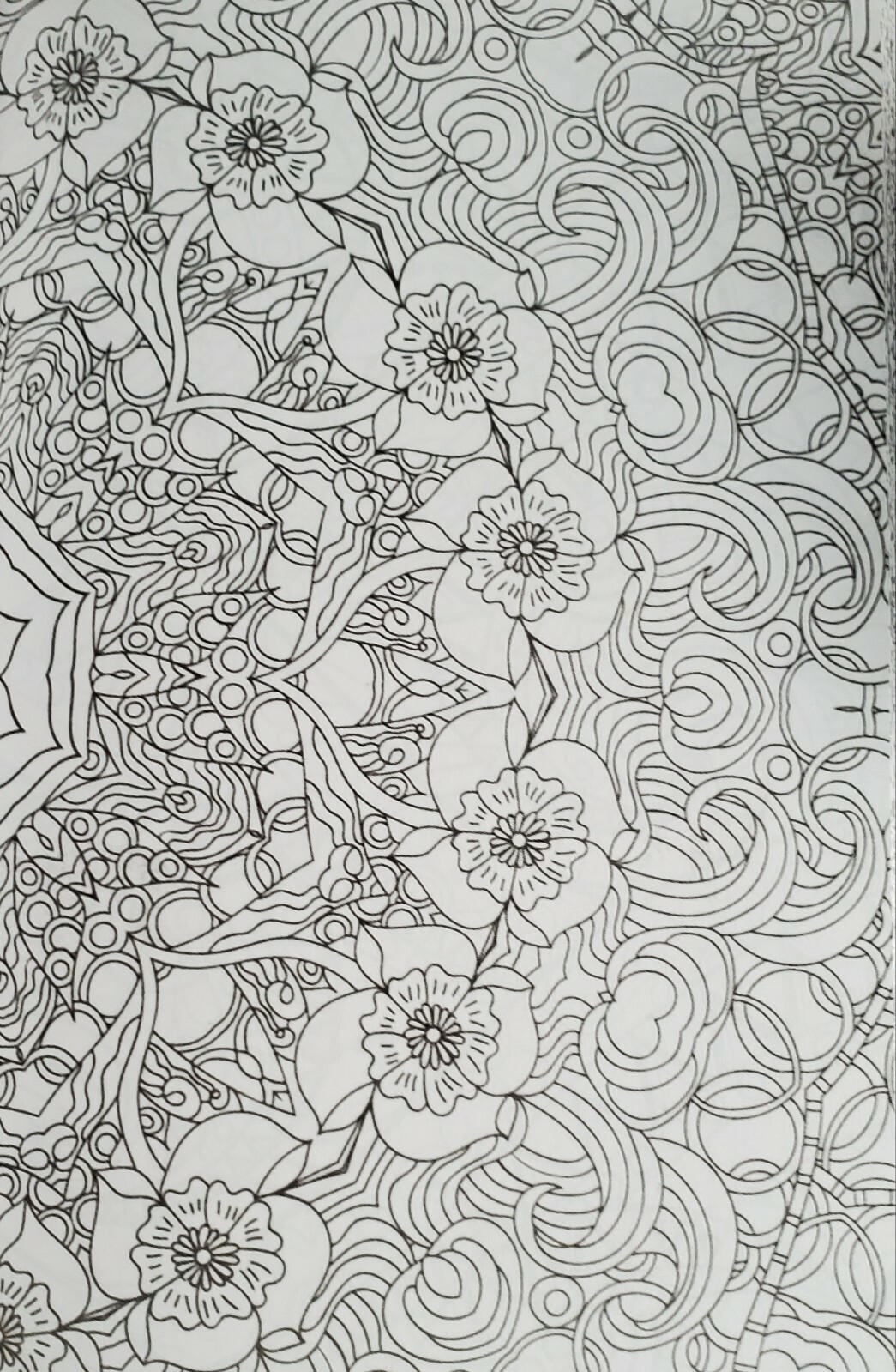 Color Your World:  Adult Coloring Book – tear-Out Pages NEW gift idea FREE SHIP