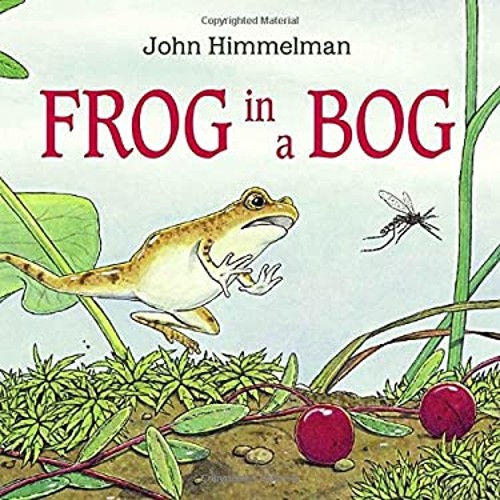 Frog in a Bog Hardcover John Himmelman