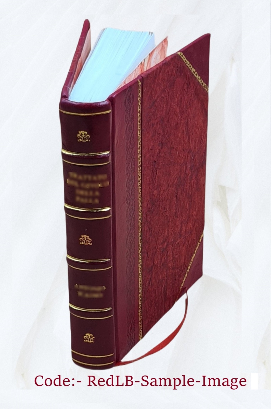 Actinida. Bd. 5,[2] 1890 by Danielssen, D. C. [Leather Bound]