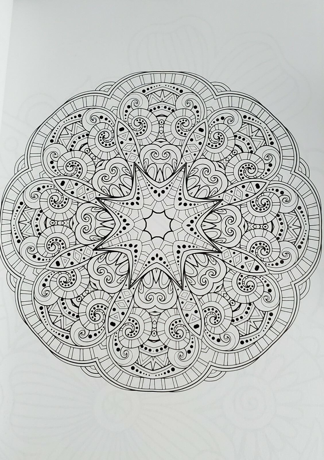 Color Your World:  Adult Coloring Book – tear-Out Pages NEW gift idea FREE SHIP