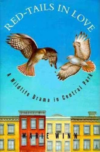 Red-Tails in Love: A Wildlife Drama in Central Park – Hardcover – GOOD