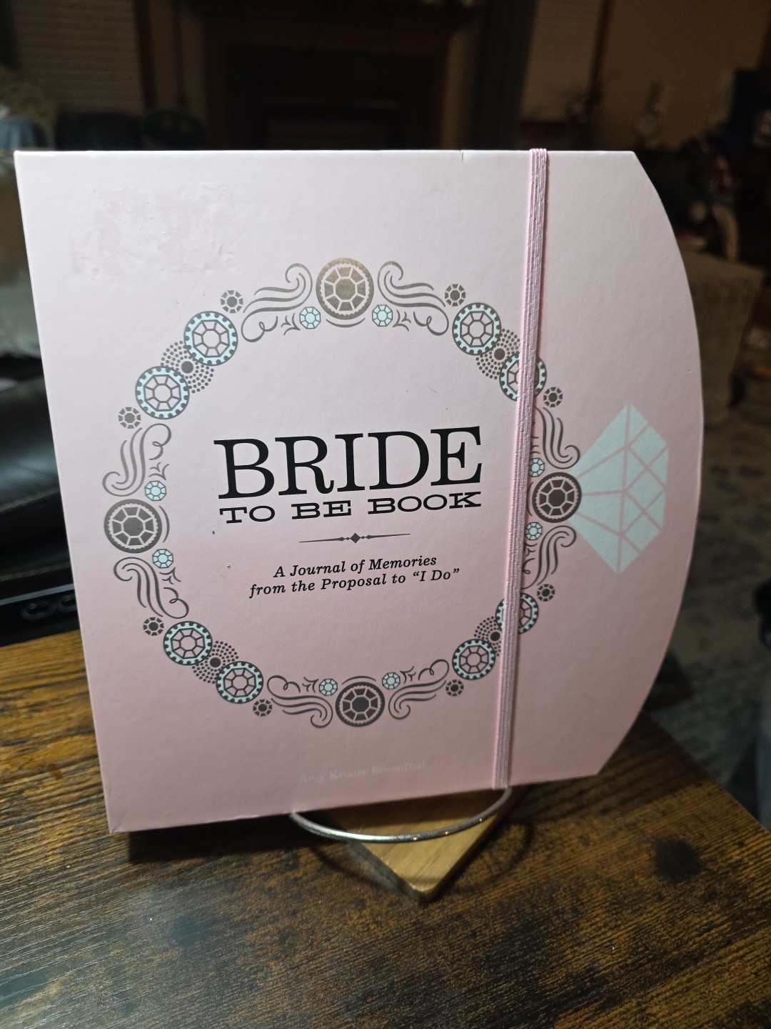 Bride to Be Book Wedding Planner A Journal of Memories by Amy Krouse Rosenthal 