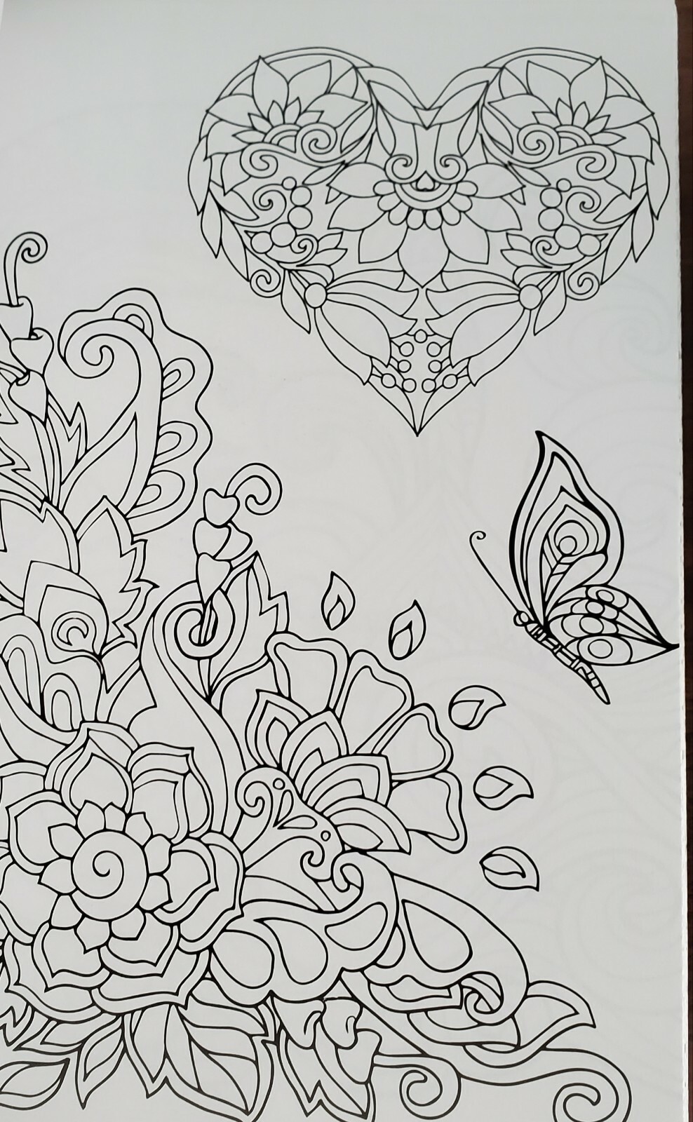 Color Your World:  Adult Coloring Book – tear-Out Pages NEW gift idea FREE SHIP