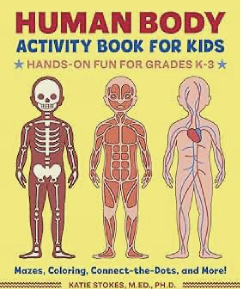 Human Body Activity Book for Kids : Hands-On Fun for Grades K-3 by Katie Stokes