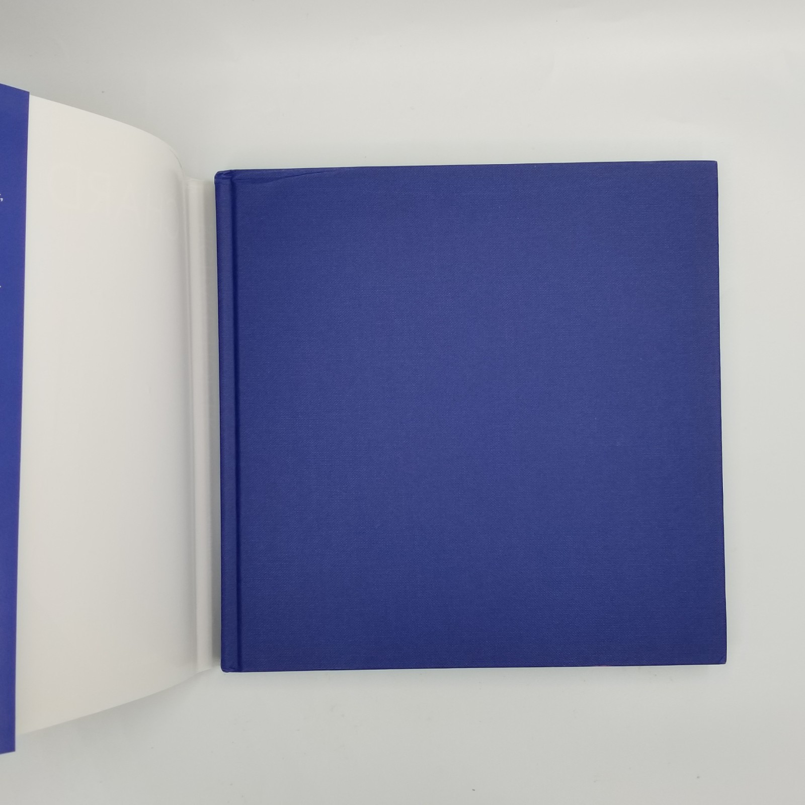 Richard Holzer Architect / Arquitecto 2010 1st Ed HCDJ Bilingual Intl Edition