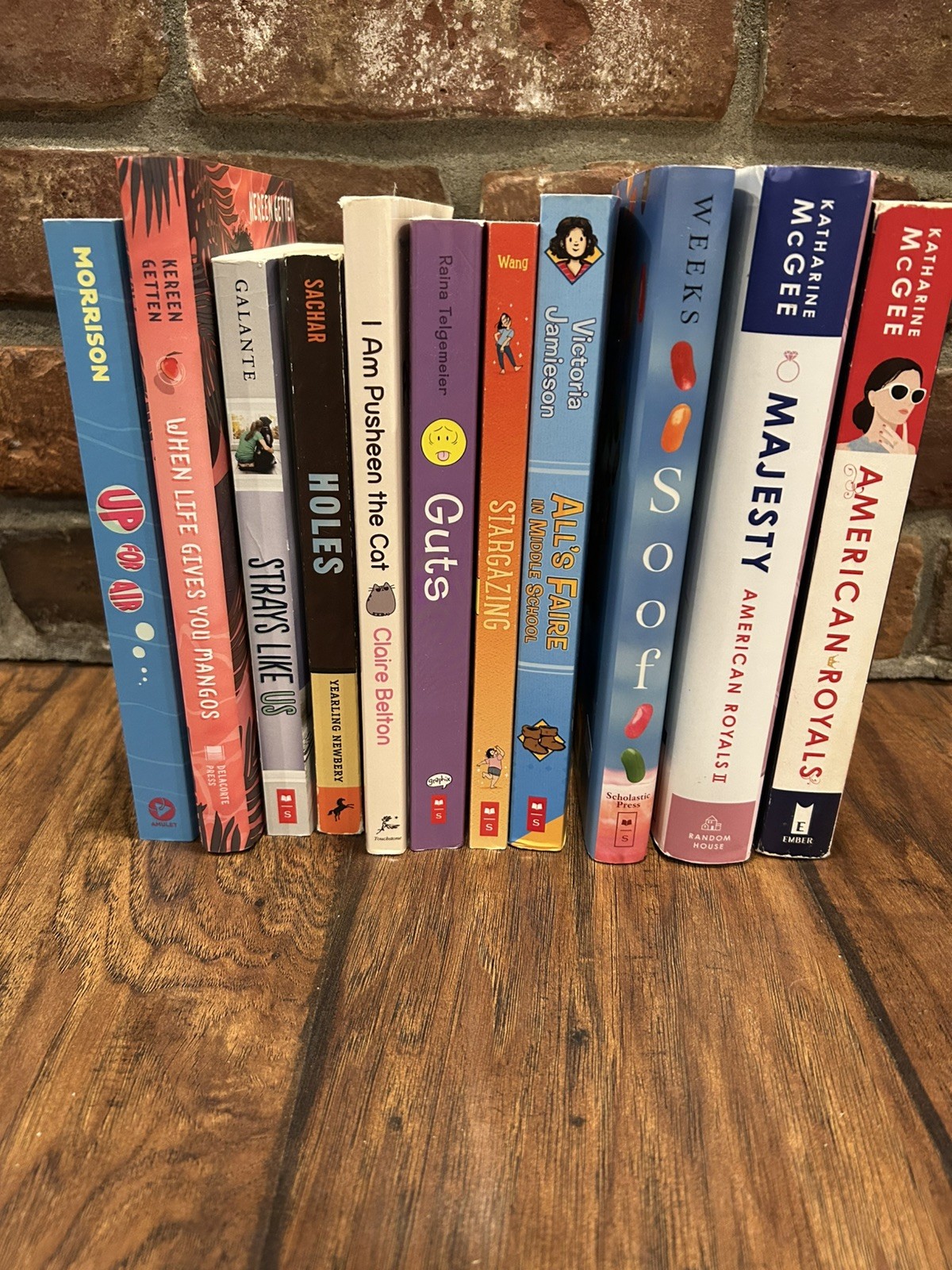 Lot of 11 Chapter Books for GIRLS Youth Reader, Young Adults RANDOM