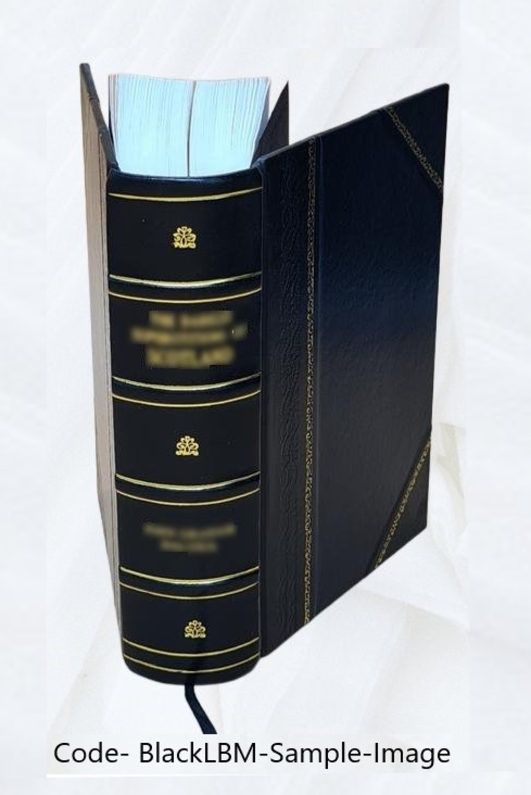 Parliamentary debates: 177 = 7.2./20.3. 1865 = 28th Victoriae, V [Leather Bound]