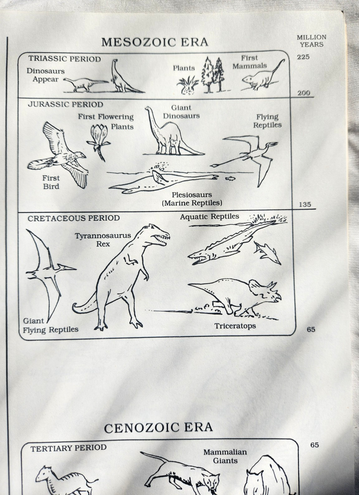 A Field Guide to Dinosaurs Coloring Book – Like New/Unused Vintage 1989 Rare PB