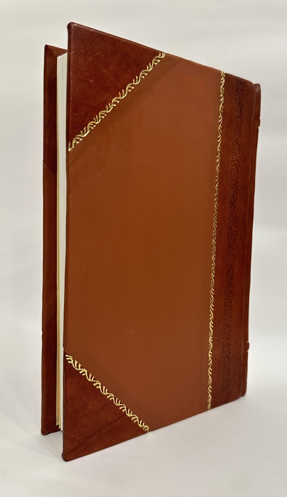 The Practice of the Common Law Courts, and Practical Lawyer’S P [Leather Bound]