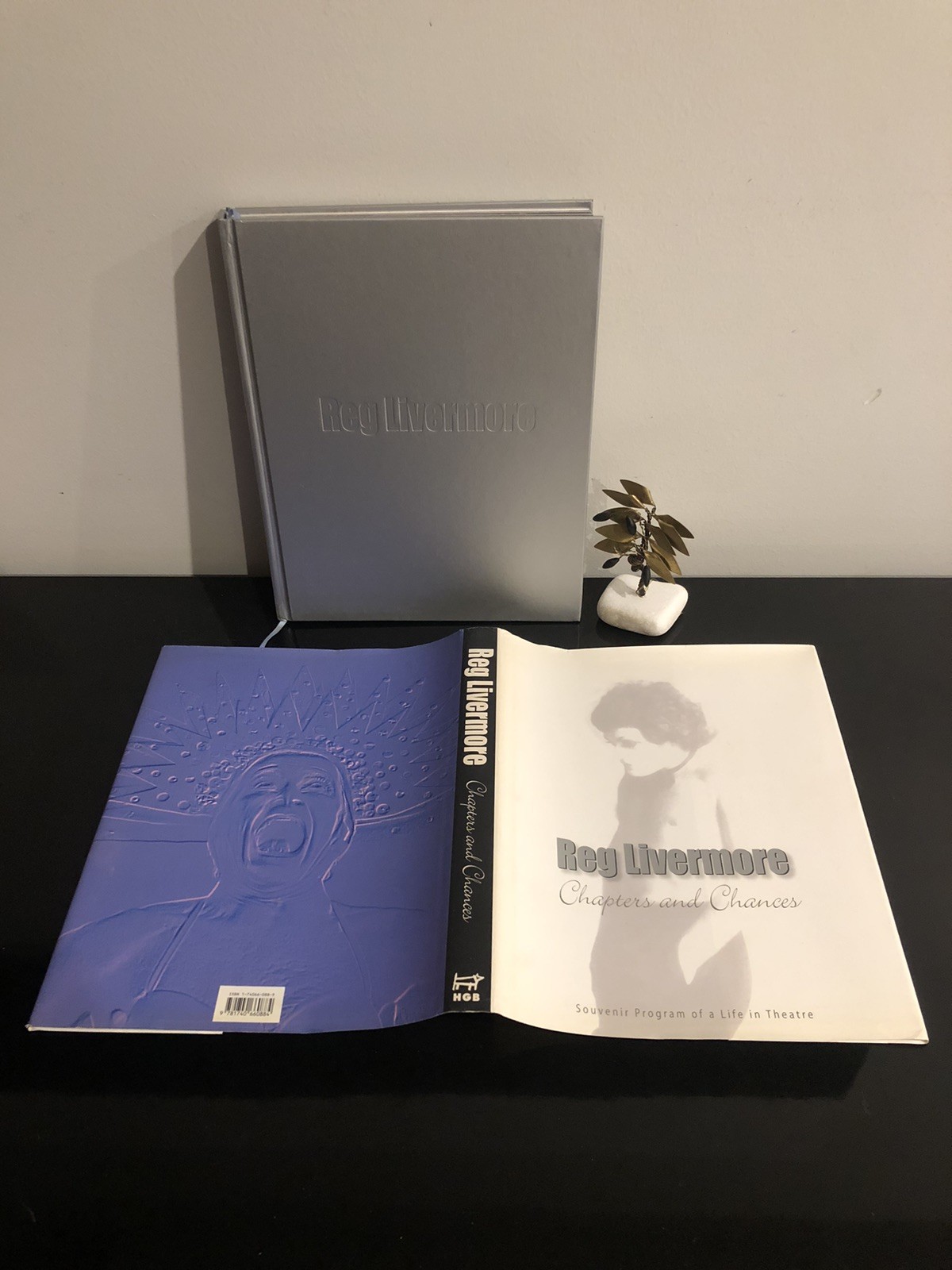 Reg Livermore Chapters And Chances H G B 2003 First Ed/F.Print HC DJ LN 🇦🇺🎭