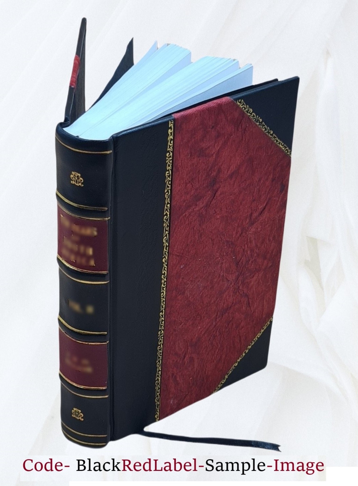 Actinida. Bd. 5,[2] 1890 by Danielssen, D. C. [Leather Bound]